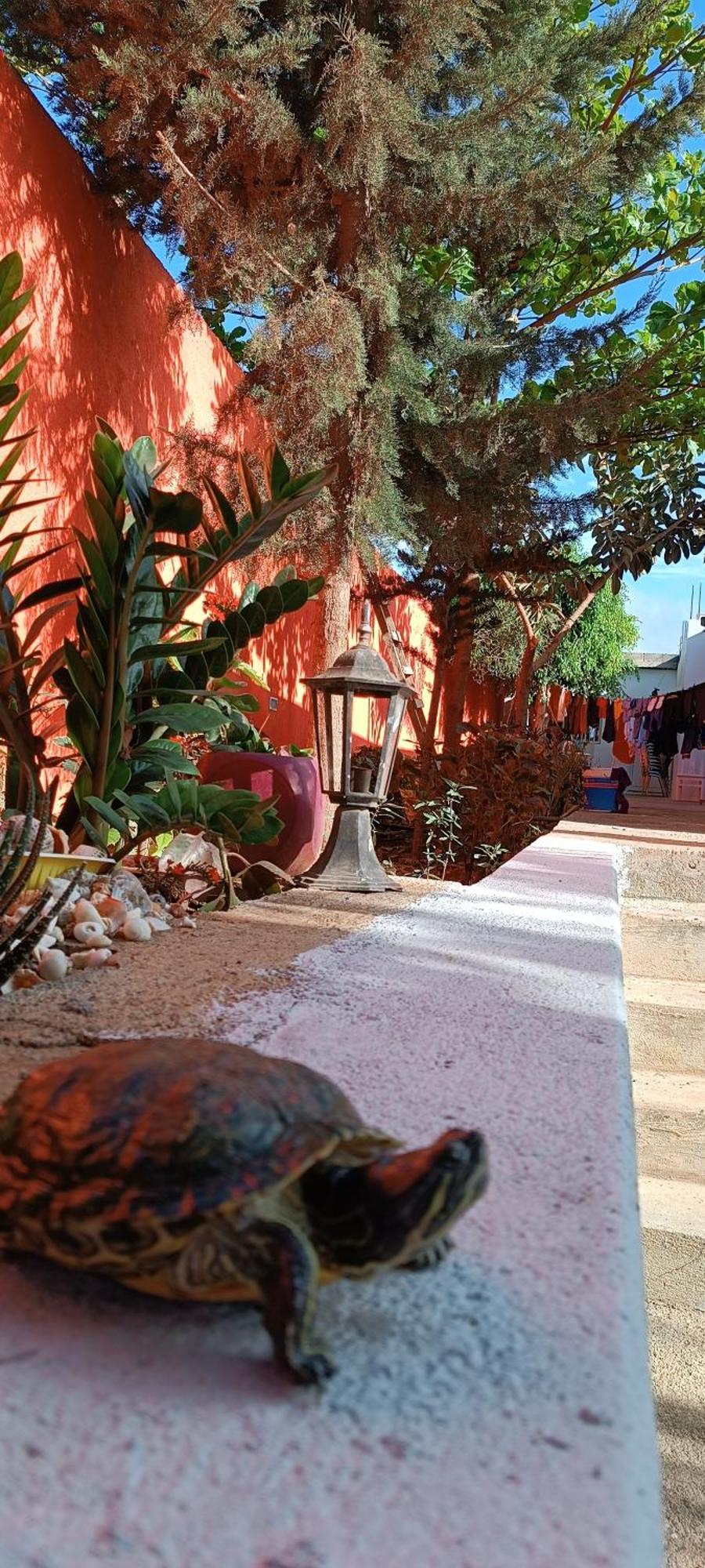 Villa Residencia Aguia Praia Exterior foto
