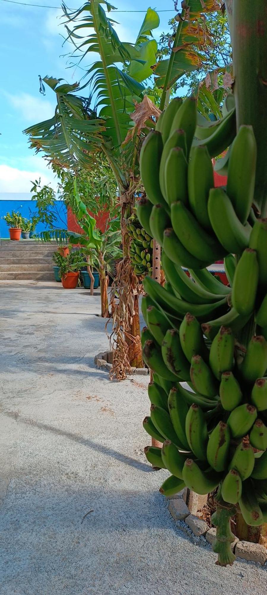 Villa Residencia Aguia Praia Exterior foto